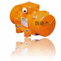 Italvibras MVB-E-FLC系列：增強安全性的橫向凸緣振動(dòng)器
