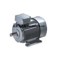 德國VEM電機 KPER 90 L 2技術(shù)特點(diǎn)