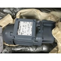 德國B(niǎo)auer電機BG20-37/D07LA4原廠(chǎng)直供