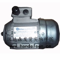 漢達森專(zhuān)供MOTOVARIO減速機 NMRV-P 110型號簡(jiǎn)介
