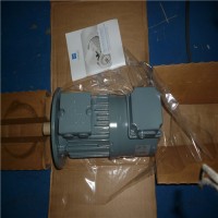 德國VEM滑環式電機 SPER/ S11R技術指導
