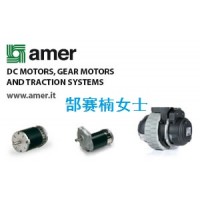 意大利原裝進(jìn)口A(yíng)mer電機