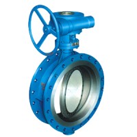 Wouter Witzel蝶閥 EVBS DN100 PN16技術(shù)參數