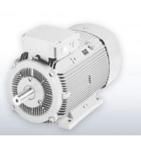 德國VEM滑環感應電動機S11R132 – 315型號簡介
