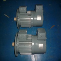 VEM IEC標準電動(dòng)機VEMIE3-W41R 71 G8