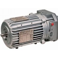 CEMP無(wú)火花型電機AN系列