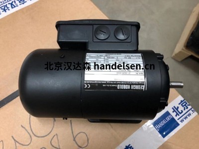 Georgii Kobold電動(dòng)機系列介紹