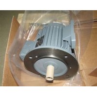 優勢供應VEM異步電機