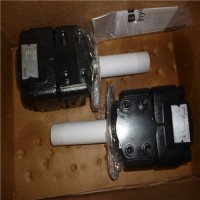 瑞士Bucher hydraulics電機泵服務(wù) QXEM 的內部齒輪單元