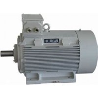 VEM永磁同步電動(dòng)機