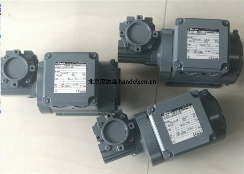 bauer 用于爆炸危險區域的IE4-PM同步齒輪電動(dòng)機