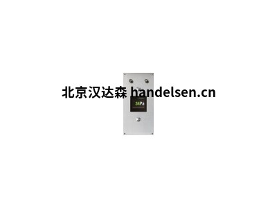 德國B(niǎo)RIEM壓力表