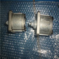 專(zhuān)業(yè)銷(xiāo)售齒輪泵和電機WS-CASAPPA