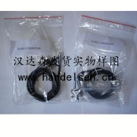 德國原裝進(jìn)口 PINTSCH BUBENZER 液壓鉗盤(pán)式制動(dòng)器