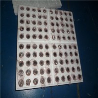 FAULHABER內置驅動(dòng)器電機德國電機