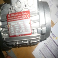 意大利 Melegari IEC 感應電機 潛水電機優勢供應