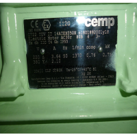 CEMP ICE危險區域電機   E..AB / E..AC IE3-IE4
