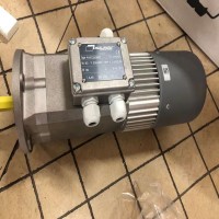 原裝MiniMotor正品蝸輪蝸桿馬達適用壽命長(cháng)現貨PARC260M2T
