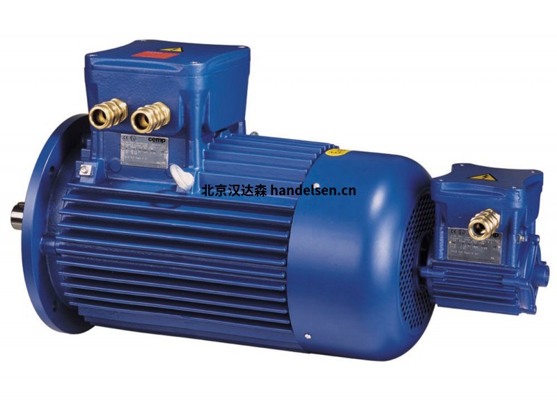 CEMP-Motor-1 CEMP-Motor-1