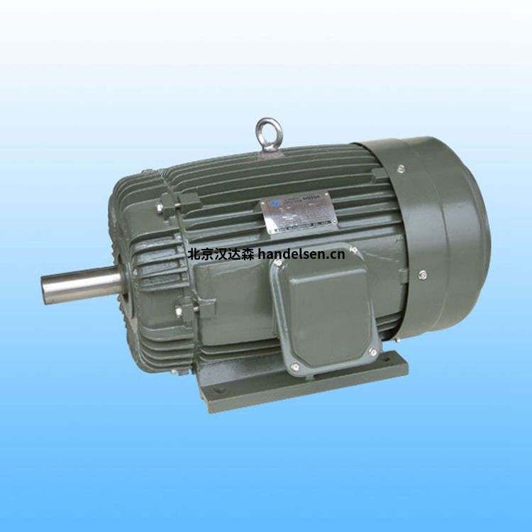 DUTCHI品牌松鼠籠工業級HJN315LX2E2U46R R14電機 DUTCHI品牌松鼠籠工業級HJN315LX2E2U46R R14電機