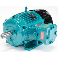 英國B(niǎo)rook Crompton增加安全電機WP-UDF280SE
