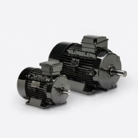 Bonfiglioli 異步電動(dòng)機 BX 系列