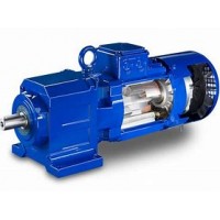 德國B(niǎo)AUER BG50-11/D08MA4-TF斜齒輪減速機
