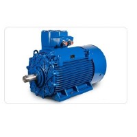 CEMP-IEC 危險區域制動(dòng)電機-HC 30r 90 S4技術(shù)特點(diǎn)