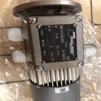 Mini Motor單向電機，異步電機系列展示