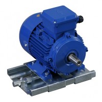 原裝進(jìn)口A(yíng)mTecs危險區域用電機4KTC