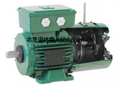 進(jìn)口LEROY SOMER三相感應電動(dòng)機LSMV
