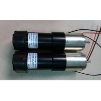 德國 Faulhaber 直流無(wú)刷電機 3863A024C系列