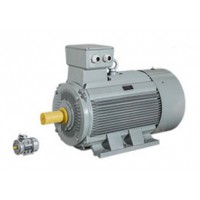 AC-MOTOREN 原廠(chǎng)采購磁力電機介紹