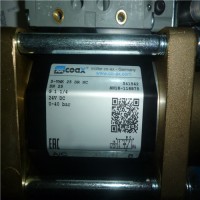 原廠(chǎng)進(jìn)口CO-AX閥門(mén)MK FK 25 Ex