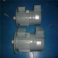 德國VEM制動(dòng)電機B21R