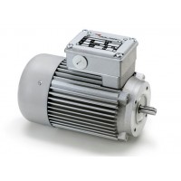 意大利Minimotor進(jìn)口電動(dòng)機渦輪蝸桿馬達全系列國外進(jìn)口