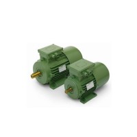 意大利 OEMER 液冷同步扭矩電機 LTS 132S 原廠(chǎng)授權品牌