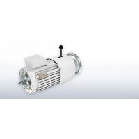VEM緊湊型驅動(dòng)器電機系列優(yōu)勢進(jìn)口