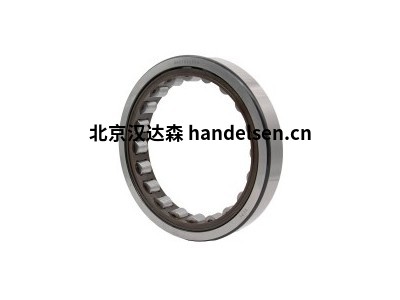 Rodriguez德國原廠(chǎng)進(jìn)口軸承DRF_1560