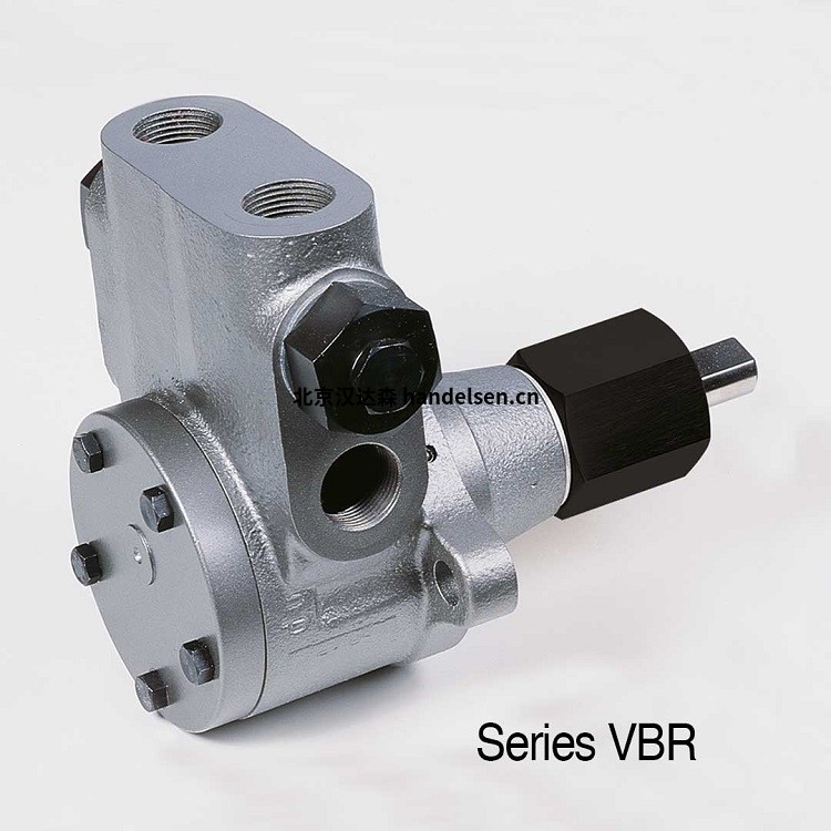 HP-TECHNIK VBR系列工業泵