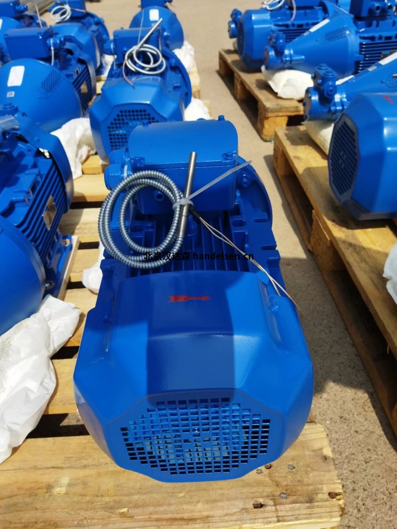 Gather Industrie齒輪泵DBG 2 DN 6 350 BAR1/4可用于化學和制藥行業 Gather Industrie齒輪泵DBG 2 DN 6 350 BAR1/4可用于化學和制藥行業