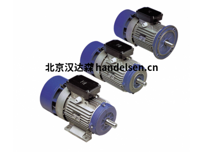 MGM制動(dòng)電機BAX90LA6B3