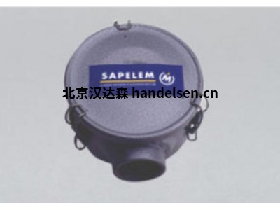 法國丁腈橡膠 SAPELEM真空過(guò)濾器 濾芯