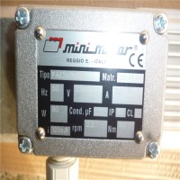意大利 Mini Motor電機AC 100P性能參數與用途