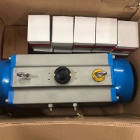 Bar氣動(dòng)執行器PKI-2/0-I-050-A-AS018-08
