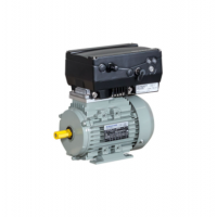 AC-Motoren低壓電機IE2 高效產(chǎn)品系列標準驅動(dòng)器