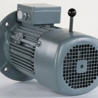VEM制動(dòng)電機IE2-W21R 80 K2  多應用鋼鐵和軋機行業(yè)