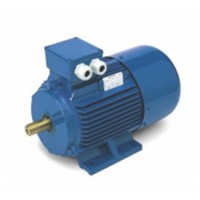 OEMER  7.10.0-MTES3系列  三相異步電動(dòng)機 技術(shù)優(yōu)勢