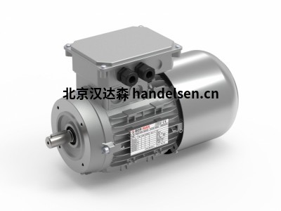意大利電動(dòng)馬達Ber-Mar 永磁同步電機