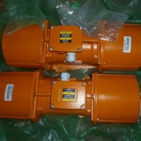 意大利Italvibras G. Silingardi振動(dòng)電機參數及分類(lèi)說(shuō)明